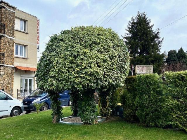 Location Appartement Rue Sainte Colombe, Villejuif