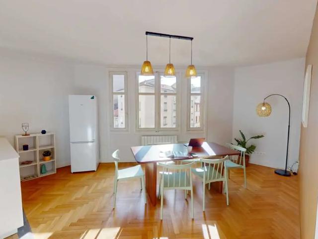 Location Appartement Rue Salomon Reinach, Lyon