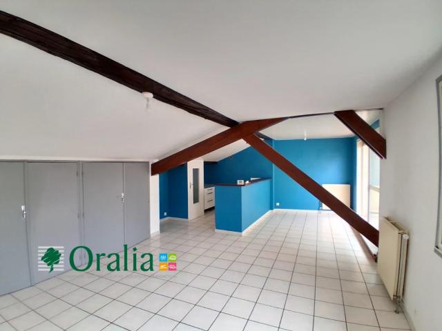Location Appartement Rue Paul Bert, Villefranche sur Saône