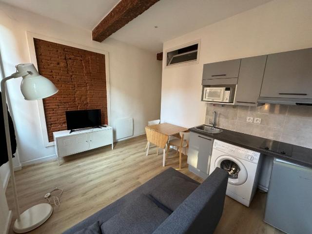 Location Appartement Rue Peyrolières, Toulouse