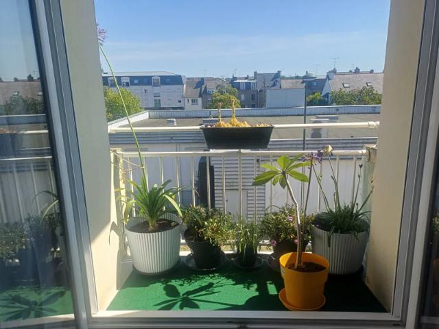 Location Appartement Rue Pierre Ogé, Saint Brieuc