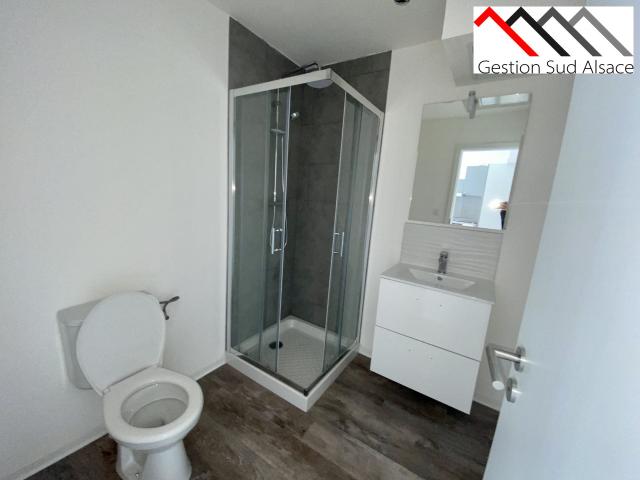 Location Appartement Rue Pierre de Coubertin, Mulhouse