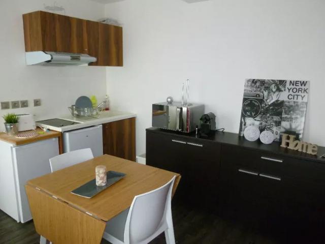 Location Appartement Rue Pierre Sonnerat, Lyon