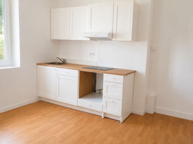 Location Appartement Rue Pierre Termier, Saint Étienne