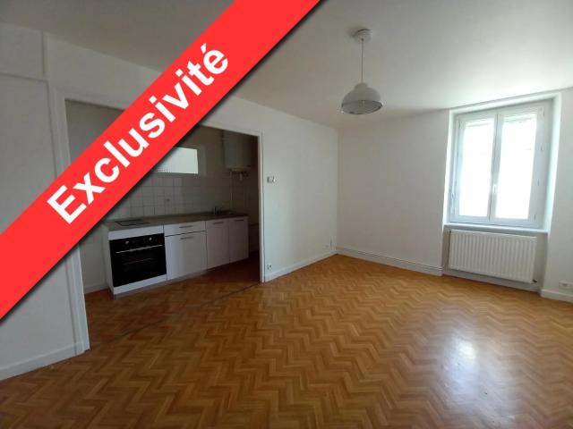 Location Appartement Rue Professeur Antoine Guerpillon, Panissières