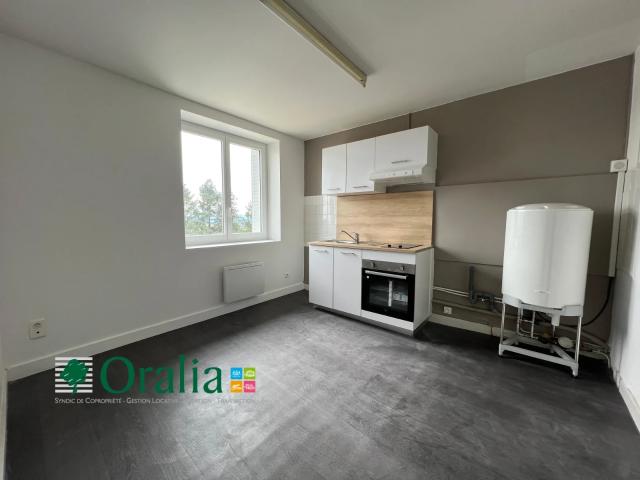 Location Appartement Rue Professeur Antoine Guerpillon, Panissières
