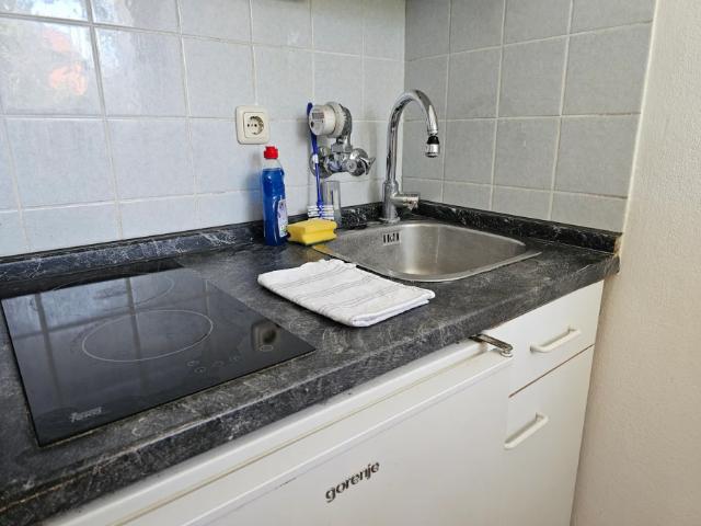 Location Appartement Rue Raymond Losserand, Paris