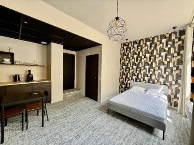 location appartement saint etienne 1 pièce 21 m2 loire 42000 520 € / mois