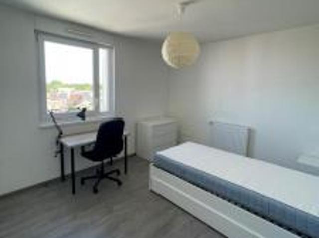 location appartement strasbourg 1 pièce 79 m2 bas rhin 67200 473 € / mois