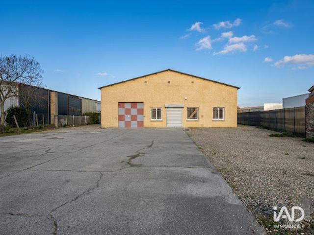 Location Autre 0 pièces 500 m2 Aucamville