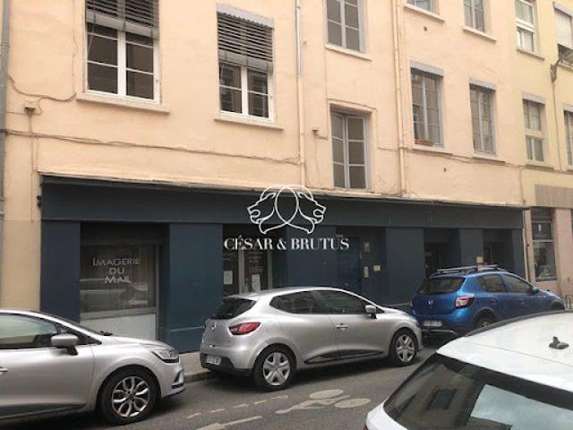 Location Autre 0 pièces 50 m2 Lyon 4ème