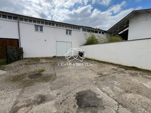 Location Fond de commerce 0 pièces 180 m2 Pusignan