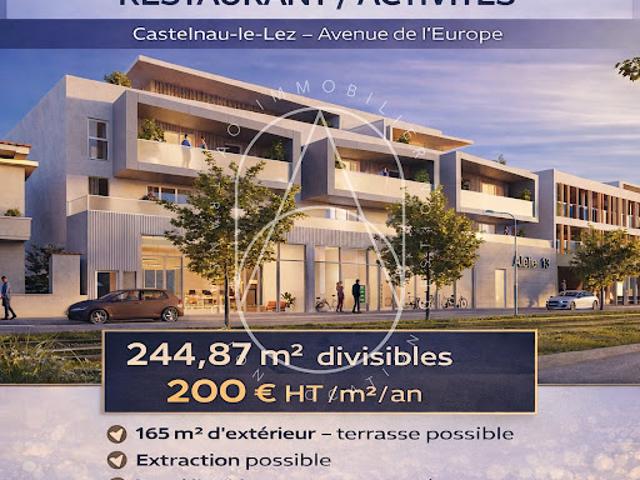 Location Autre 0 pièces 244 m2 Castelnau le Lez