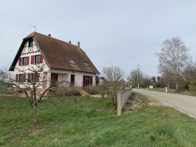 Location Baldenheim, bureau, locaux ou autre