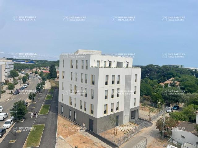 Location bureaux Montpellier Est Tramways lignes 1 et 3