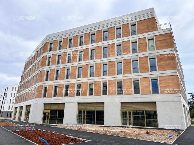 Location bureaux Montpellier Est secteur Hippocrate WEKO