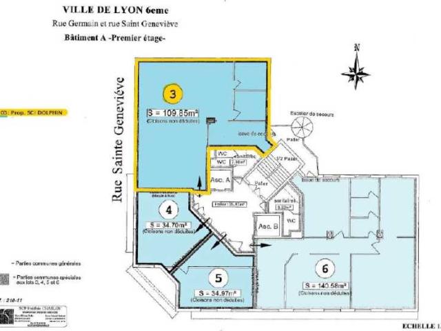 Location bureaux Lyon 6 Quartier Bellecombe, tram T1 et T4