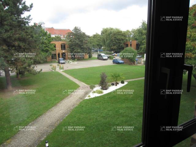 Location bureaux Lingolsheim Proche Strasbourg