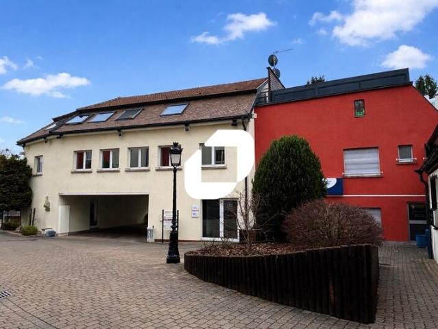 Location bureaux Strasbourg Meinau Proche tram et autoroute
