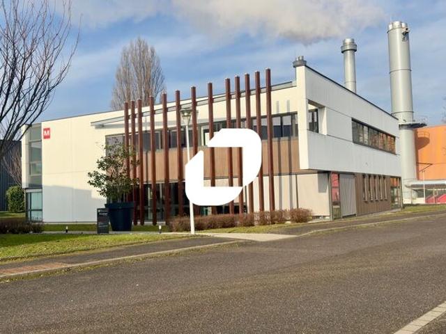 Location bureaux Strasbourg Parc des Forges Proche A35 et tram