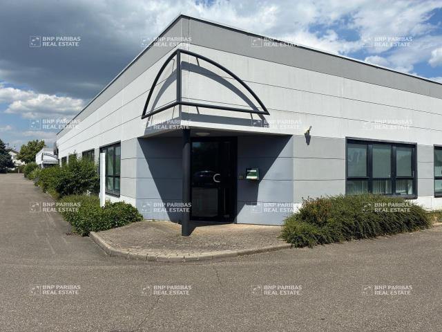 Location bureaux Sausheim Haut Rhin proche transports