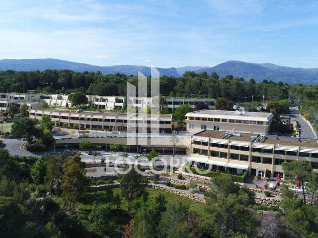 Location bureaux Sophia Antipolis Campus Ecopolis, route des Crêtes