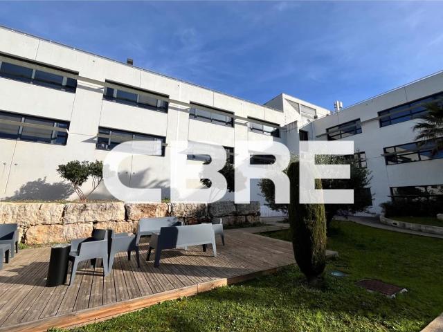 Location bureaux Sophia Antipolis Proche autoroute A8 et transports en commun