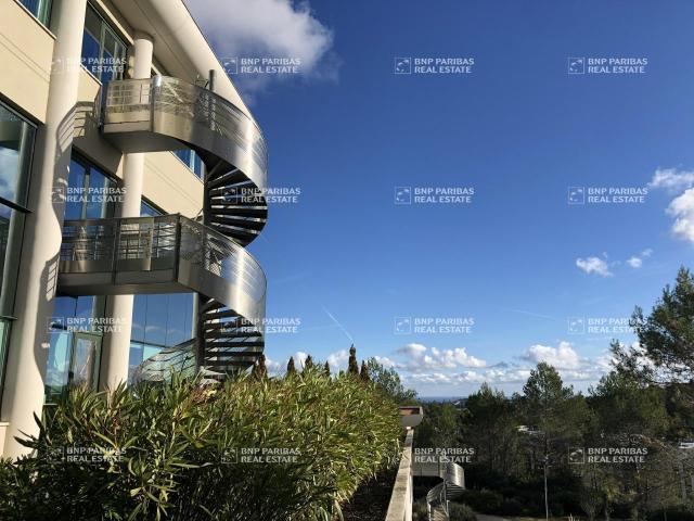 Location bureaux Sophia Antipolis Proche services et verdure