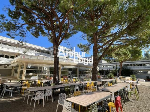 Location bureaux Sophia Antipolis Quartier des Templiers, proche BHNS