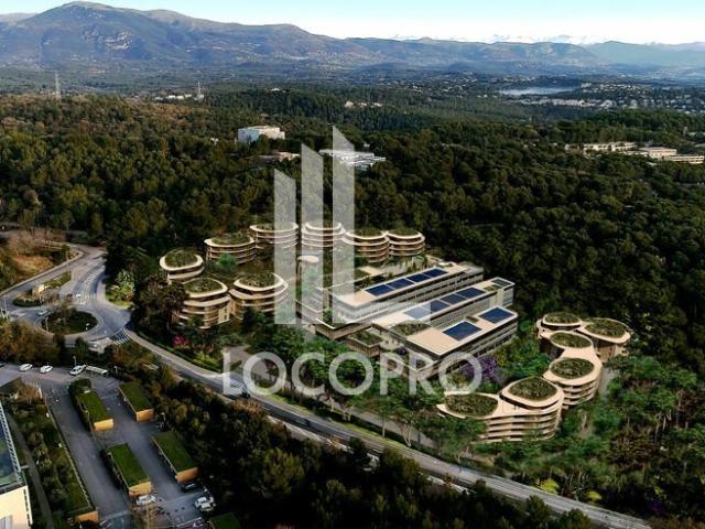 Location bureaux Sophia Antipolis Valbonne, accès bus et gare
