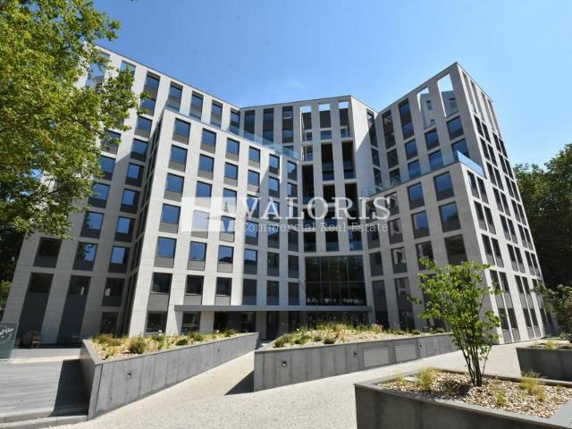 Location bureaux Villeurbanne Proche Parc de la Tête d'Or, métro, tramway
