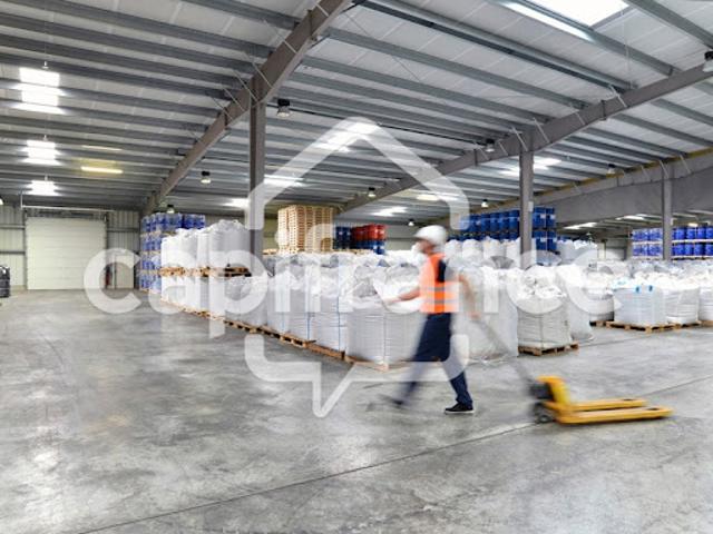 Location Bureaux 1 pièce 1113 m2 Genas