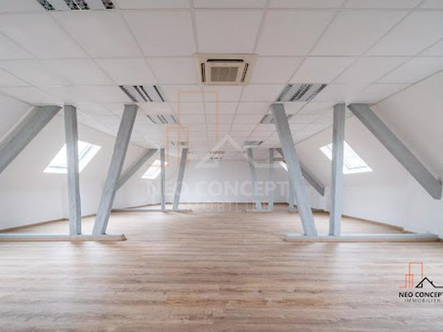 Location Bureaux 1 pièce 80 m2 Haguenau