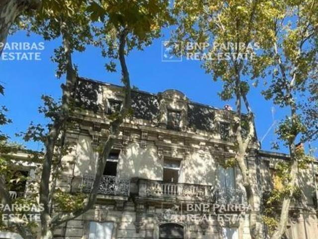 Location bureau Montpellier centre secteur Renouvier Chaptal