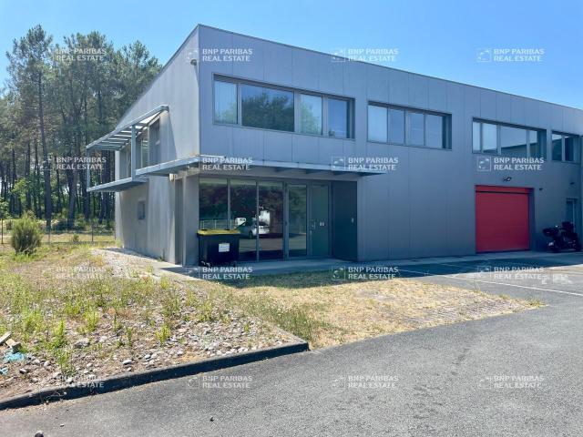 Location cellule d'activité Canéjan 800 m² avec parking