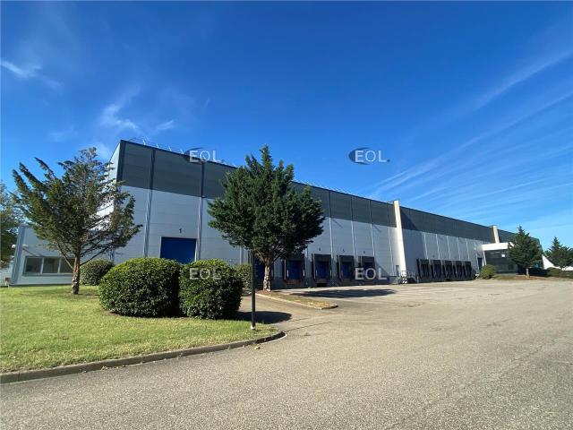 Location cellule logistique Strasbourg Port Autonome 5300 m²