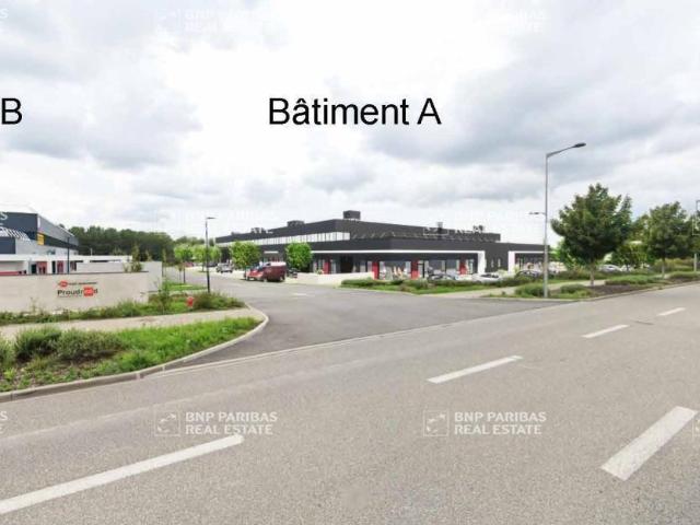 Location cellules d'activité Bernolsheim Proche Brumath