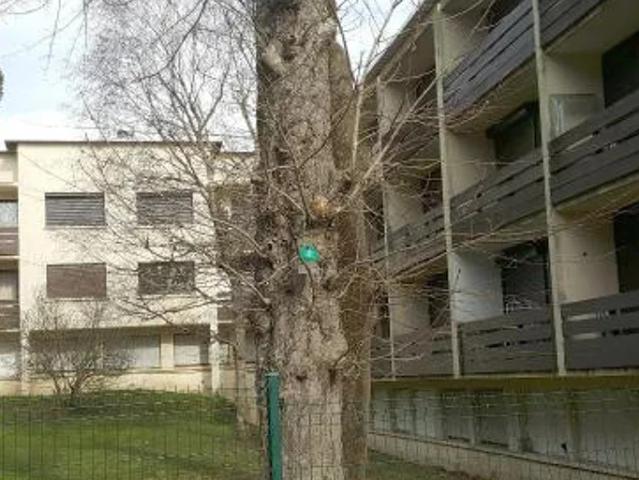 Location Chambre Avenue de Rangueil, Toulouse