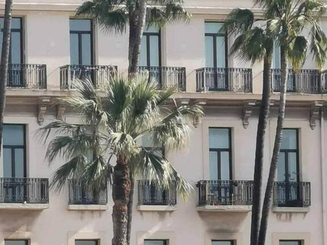 Location Chambre Avenue du Roi Robert, Nice