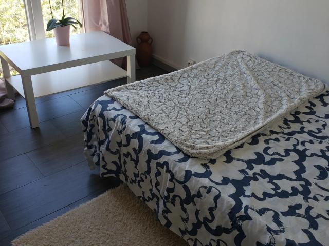 Location Chambre Boulevard Michelet, Marseille