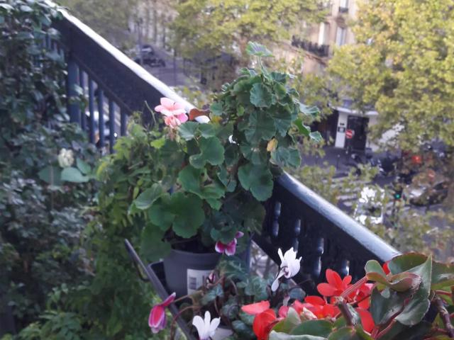 Location Chambre Boulevard Pereire, Paris