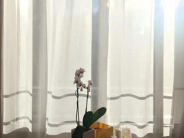 Location Chambre Coulée Verte René Dumont, Paris