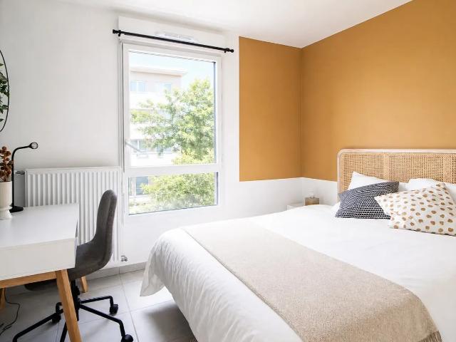 Location Chambre Cours Émile Zola, Villeurbanne