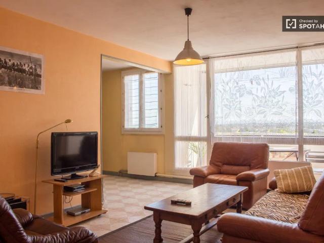 Location Chambre Cours Émile Zola, Villeurbanne
