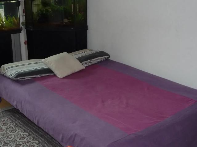 Location Chambre Cours Gambetta, Lyon