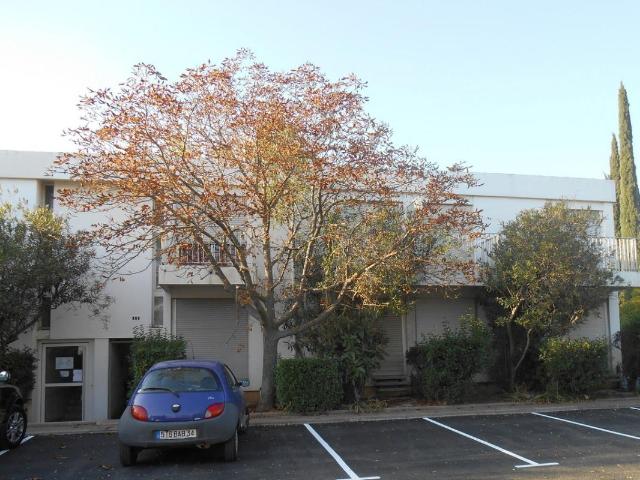 Location Chambre Rue Adrien Proby, Montpellier
