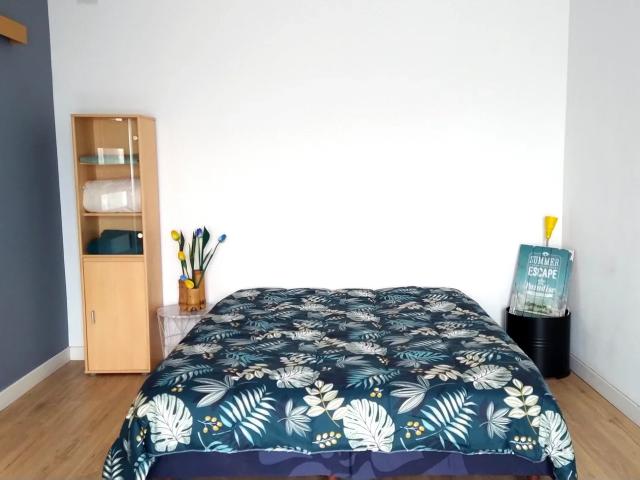 Location Chambre Rue Castelvielh, Muret
