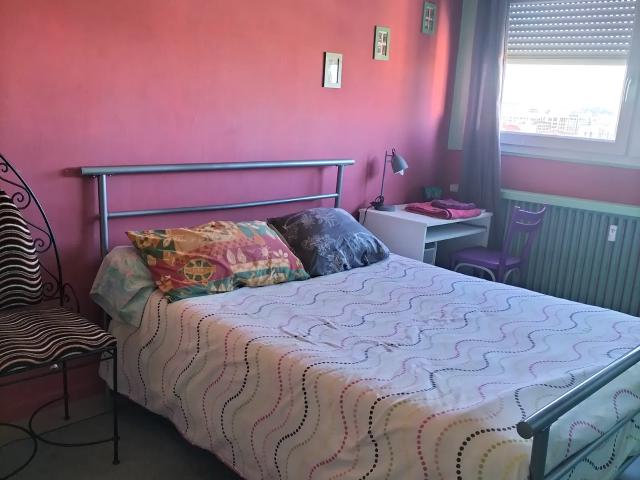 Location Chambre Rue Challemel Lacour, Lyon
