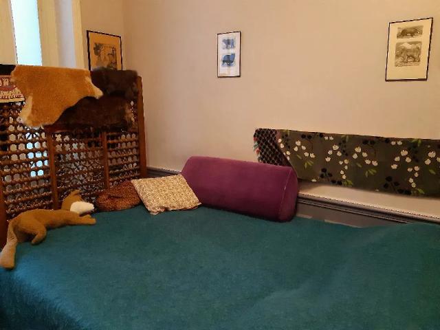 Location Chambre Rue de Chaillot, Paris