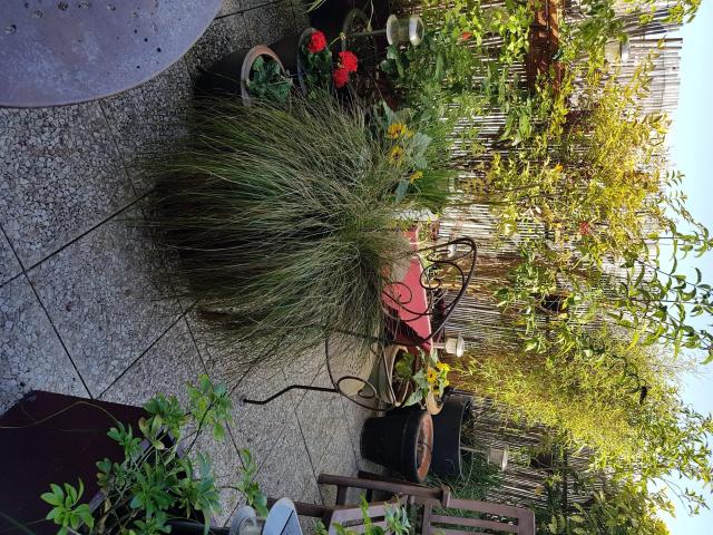 Location Chambre Rue de la Plaine, Paris